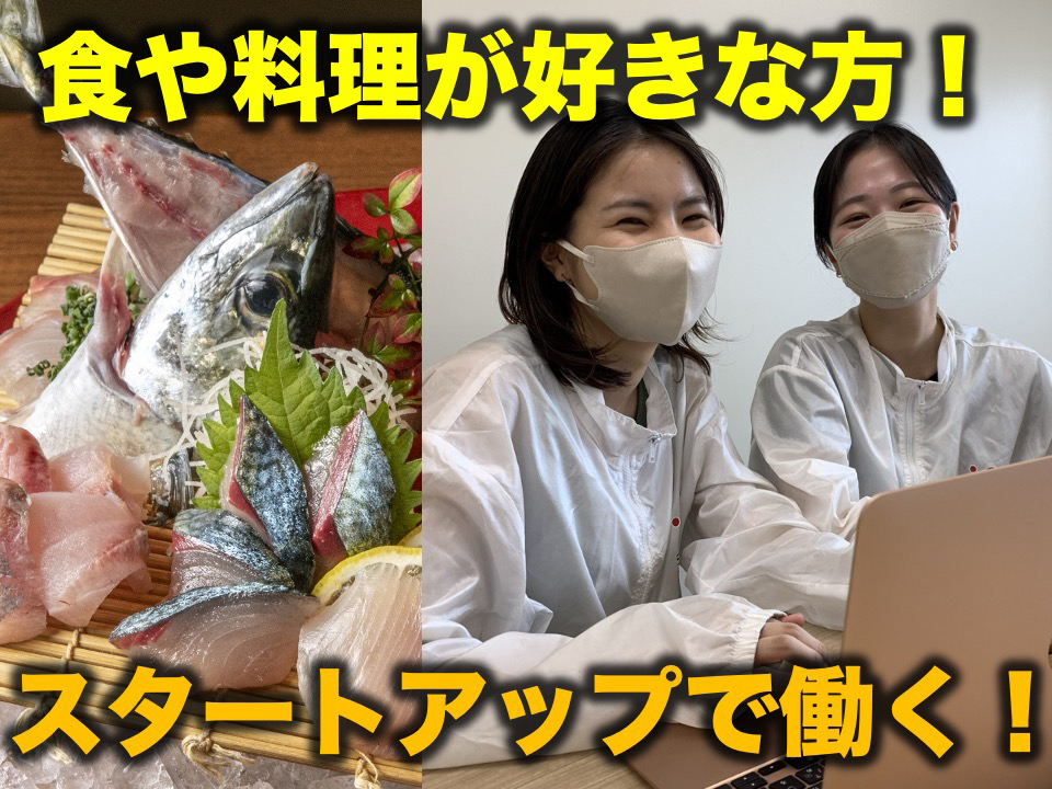 シーレ株式会社 東京都中央区のその他飲食 フード バイトネット 学生アルバイト情報ネットワーク