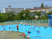 堺市立金岡公園プールの詳細画像