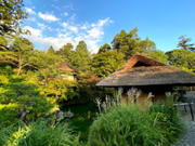茶道体験　お点前スタッフ　英語不要の詳細画像