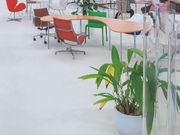 建築学科の学生歓迎！『新建築』のバックナンバーや最新資料に触れられる環境で、データ入力・加工のお仕事。学業優先の自由シフト制です。の詳細画像