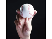 野球一球速報オペレーターの詳細画像