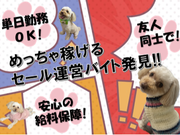 【高日給！レア案件！】6/2(火)-6/5(金)　某有名ブランドの販売会運営スタッフ大募集！！の詳細画像