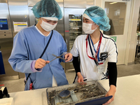 大阪大学医学部附属病院内での医療器材の洗浄・滅菌の詳細画像