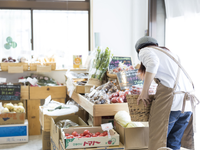 野菜が好きな方、食の分野で働きたい方におすすめの仕事です！の詳細画像