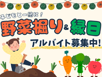 ＼3/7～8募集／即払い◎大人気カレー野菜堀り体験イベント/縁日イベント運営スタッフ＠あざみ野ガーデンズプロナードの詳細画像