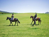 時給1200円~1300円！5月3日（祝）☆姫路乗馬体験イベントブース運営☆週払い可能の詳細画像