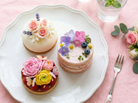 《4/14～4/21》週2,3日でOK♪チーズケーキの販売＠姫路山陽百貨店/os_526614の詳細画像