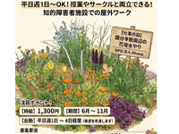 国分寺市内の花壇管理。障害者施設でのアルバイト。週1、2回、4時間OKの詳細画像