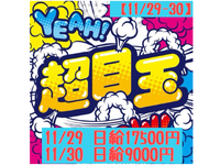 アメカジフェス設営撤去スタッフ(会場テント・備品設営撤去)大募集!!!【11/29-30】　最寄：東京国際クルーズターミナル　【週払い可】の詳細画像