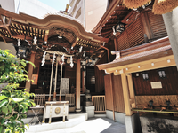 即日払い【東京都中央区日本橋｜巫女さんを募集します（袴着用）】の詳細画像