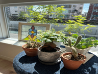 【移転オープンにつき、塾講師募集】登戸・向ヶ丘遊園駅すぐ☆カフェのような新築のお教室☆60分１コマから勤務可能☆未経験者歓迎☆の詳細画像