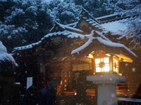 お正月　神社で巫女として働きませんか？　複数日大歓迎！の詳細画像