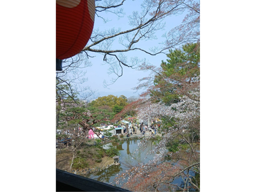 ホールスタッフ募集　週1日からOK　円山公園の絶景の近くにで働きませんか。