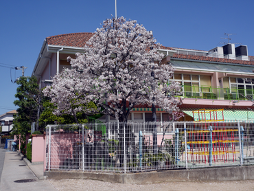 ＼保育補助スタッフ募集／平日週1日・3時間から勤務OK◎・髪型と髪色自由です♪未経験者歓迎！