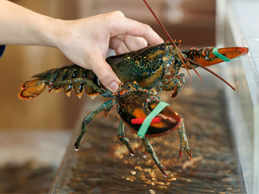 ★シーフードレストランの調理スタッフ★履歴書不要／週3日～◎／時給1260円～／未経験大歓迎＆友達との応募もOK！染髪ネイルもできちゃう！絶品まかないアリ♪