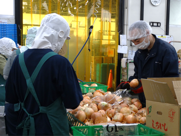 【週1～OK！】野菜のパック・検品作業のお仕事【土曜日入れる方大歓迎！】