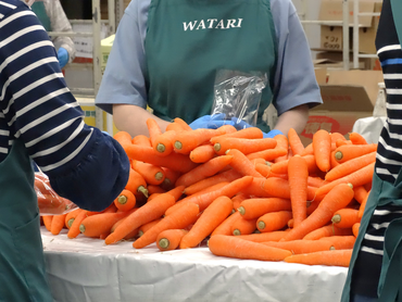 【週1～OK！】野菜のパック・検品作業のお仕事【土曜日入れる方大歓迎！】