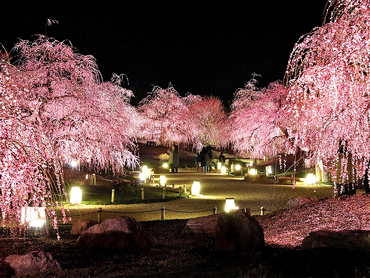 急募大量募集＼接客スタッフ（チケット販売、お土産物販売等）募集／2026年2月21日～3月末限定の短期アルバイト！時給1300円以上◎