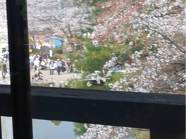 ホールスタッフ募集　週1日からOK　円山公園の絶景の近くにで働きませんか。