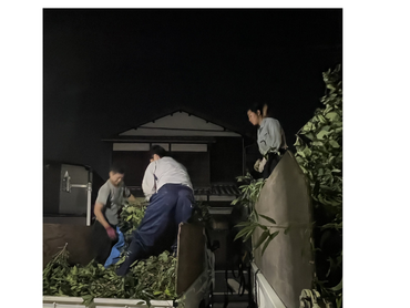 造園業手伝い！自然の中で身体を動かしてみよう！