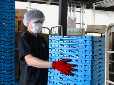 身体を動かしたい方にオススメ！"シフト自由"の野菜の仕分け作業【アルバイトからの正社員登用実績あり！】