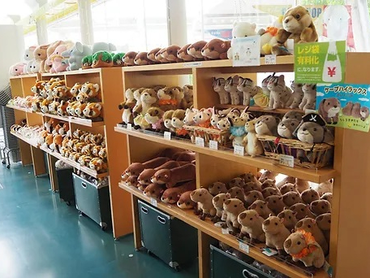 【激レアバイト】よこはま動物園ズーラシア内ショップでの販売・接客（未経験歓迎）