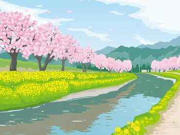 ☆桜の時期に・・・京都の船運営乗船券☆乗船券販売・誘導案内補助(´ω`)♪