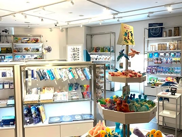 【激レアバイト】福岡市科学館内ショップでの販売・接客（未経験歓迎）