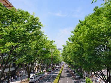 ☆表参道・法律事務所でのアルバイト☆　週2~3日・11時～18時の間で3時間〜　表参道駅から徒歩1分と通勤便利な立地です。