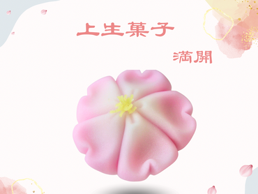 【簡単作業】和菓子の販売スタッフ募集！週１日でもOK◎試食あり♪夕方までのお仕事♪＼学生活躍中！