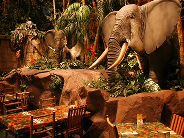 【週1日〜】【1日4時間〜】ワクワク満載☆まるでジャングルなレストラン｜レインフォレスト カフェ・トーキョー　イクスピアリ