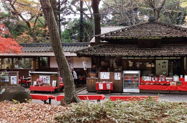 【長期】&【年末年始】のバイト！時給1,250円！深大寺そば屋のホールスタッフ‼️