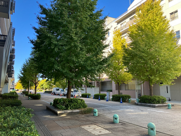 週1日～OK！金融機関や不動産会社、税理士・司法書士志望の学生にも最適。働きながら学べるお仕事です。