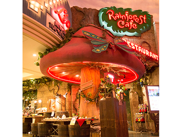 【週1日〜】【1日4時間〜】ワクワク満載☆まるでジャングルなレストラン｜レインフォレスト カフェ・トーキョー　イクスピアリ