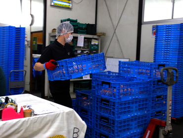 身体を動かしたい方にオススメ！"シフト自由"の野菜の仕分け作業【アルバイトからの正社員登用実績あり！】