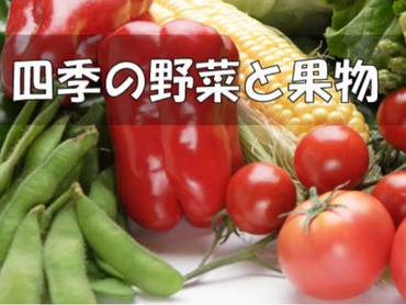 【野菜の仕分け】時給1240円！仕分けて運ぶ簡単軽作業♪ 交通費全額支給