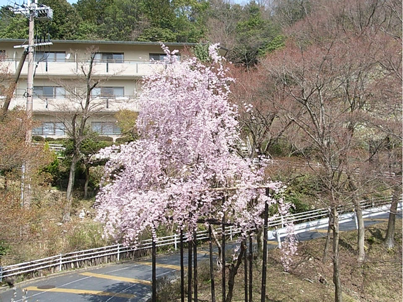 朝食調理補助、北区の有料老人ホームで早朝6から9時、学校に間に合う。の詳細画像
