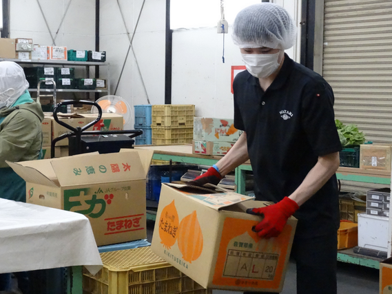 身体を動かしたい方にオススメ！"シフト自由"の野菜の仕分け作業【アルバイトからの正社員登用実績あり！】の詳細画像