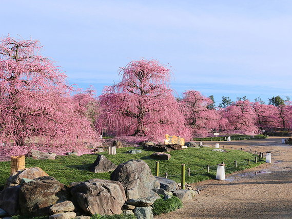 急募大量募集＼接客スタッフ（チケット販売、お土産物販売等）募集／2026年2月21日～3月末限定の短期アルバイト！時給1300円以上◎の詳細画像